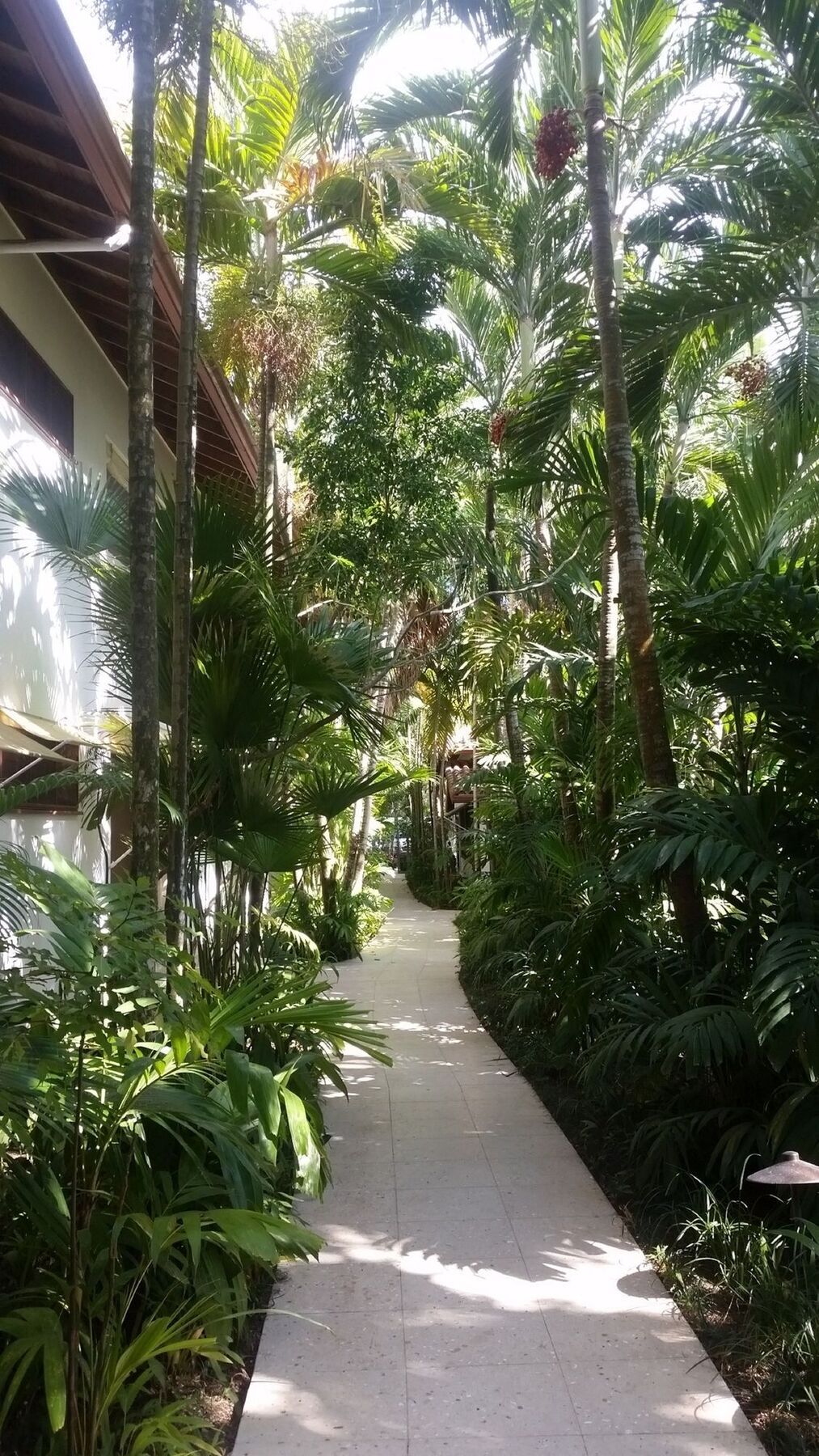 Idle Awhile Resort Negril Exterior foto